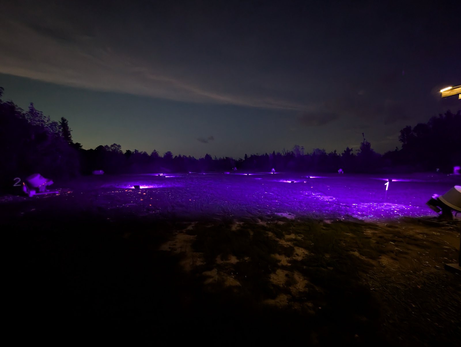 Stations one and two at dusk with the field washed in violet light and the treeline dark behind